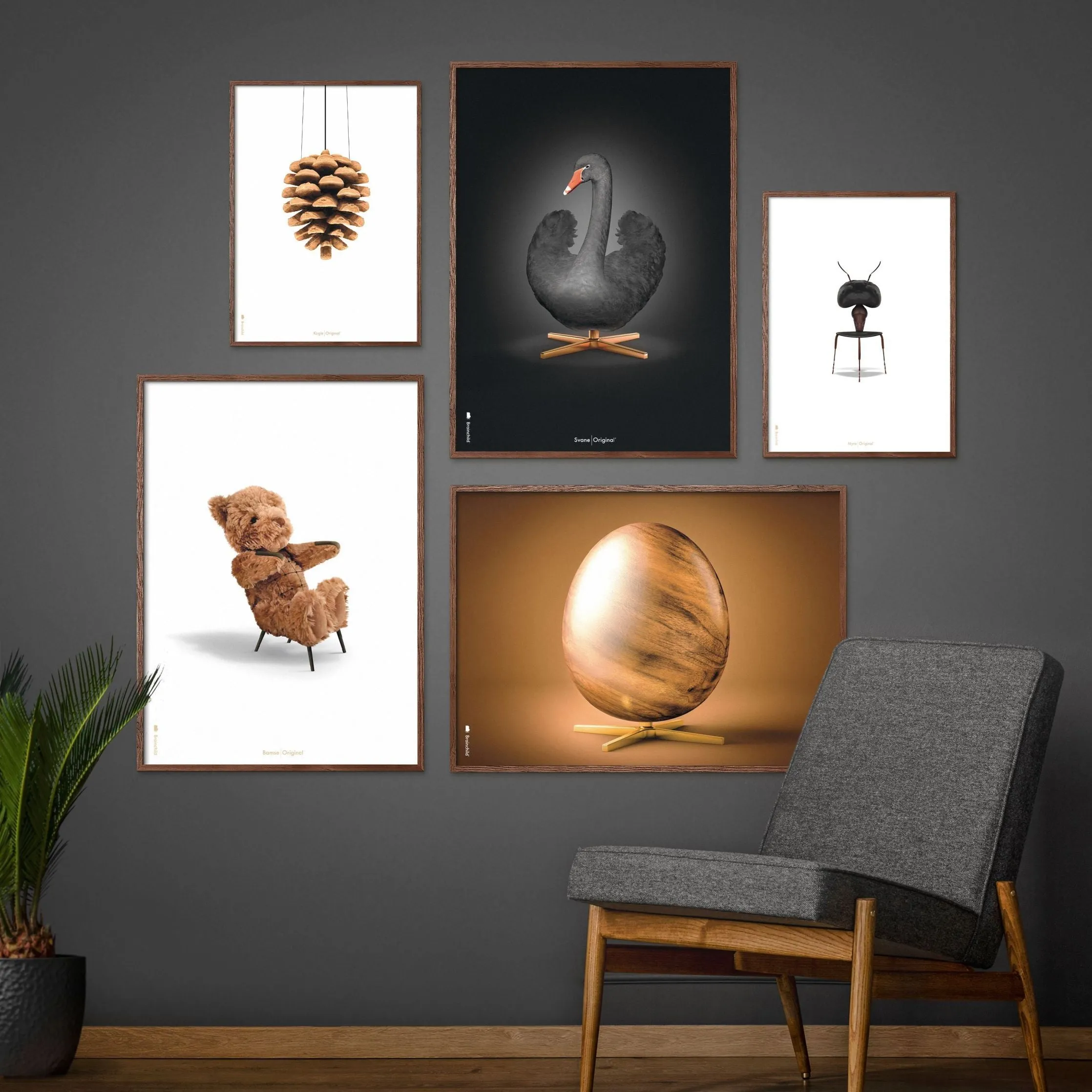 Brainchild Teddy Bear Classic Poster, Frame Made Of Light Wood 50x70 Cm, White Background
