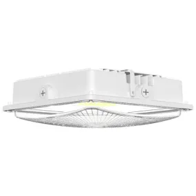Morris Products 71604C Color & Wattage Selectable Canopy Light 30W-50W White