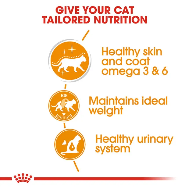 Royal Canin Feline Hair & Skin Wet Cat Food - 85gr