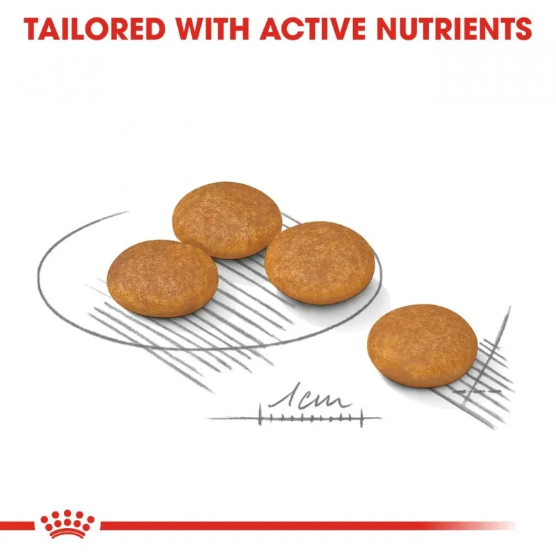 Royal Canin Mini Dermacomfort Dry Dog Food