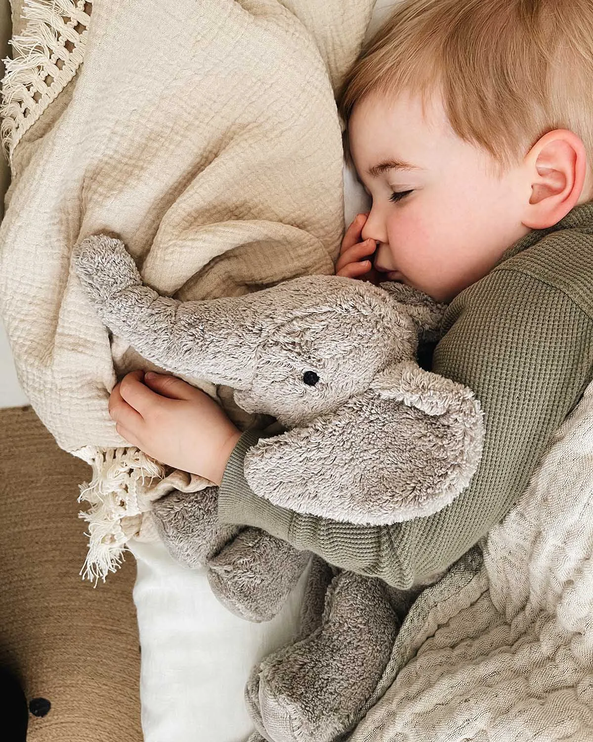 Senger Large Cuddly Elephant